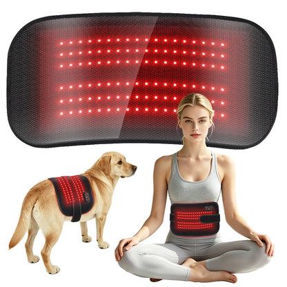 Red Light Therapy Belt For Dogs
