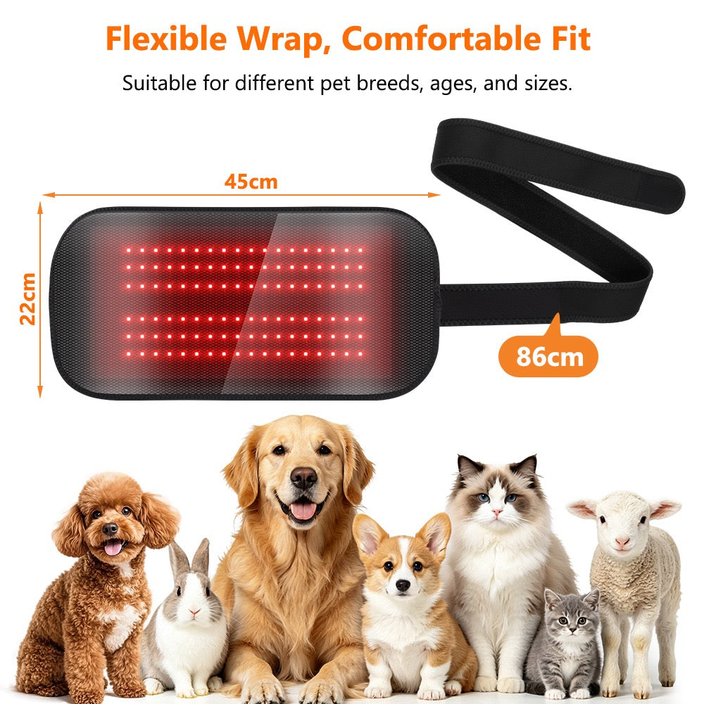 Red Light Therapy Belt For Dogs